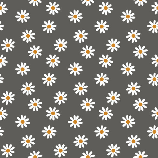 Black and White Daisies