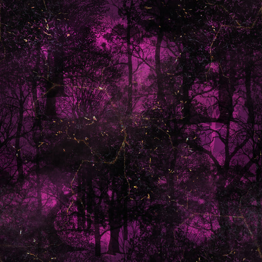 Spooky Forest